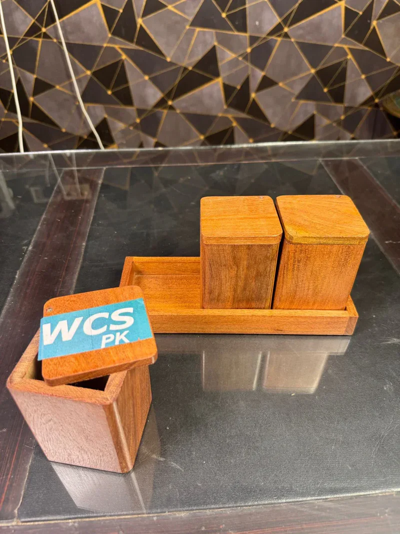 WhatsAppImage2025-06-19at11.28.24PM_1_-min